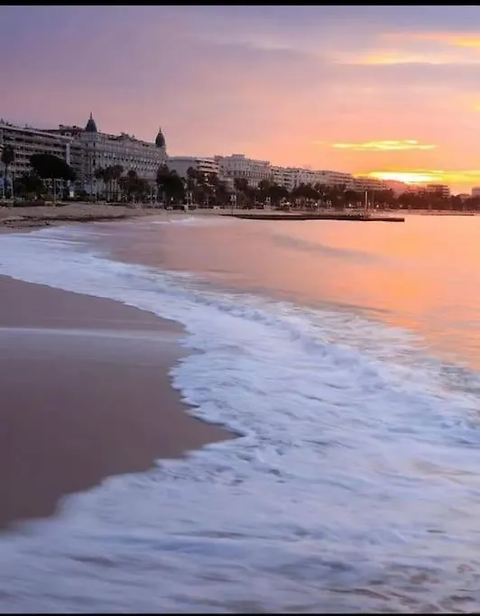 Superbe Studio Proche Palais Et Plages A Pieds Cannes Apartment