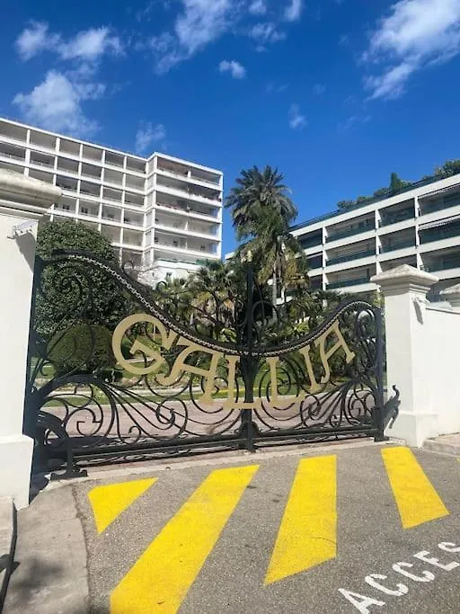 Superbe Studio Proche Palais Et Plages A Pieds Cannes 0*,